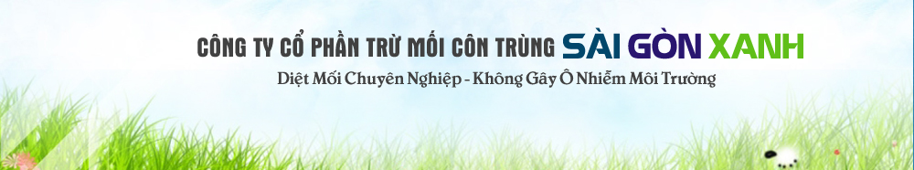 banner top