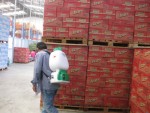 Dịch vụ Phòng chống mối Dịch vụ Phòng chống mối